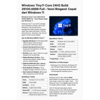 Windows Tiny11 Core 24H2 Build 26100.6899 Full