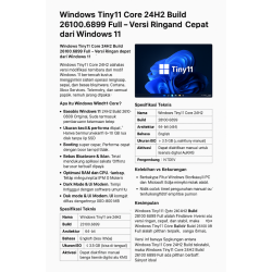 Windows Tiny11 Core 24H2 Build 26100.6899 Full
