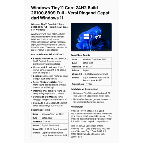 Windows Tiny11 Core 24H2 Build 26100.6899 Full